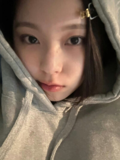 张圭真