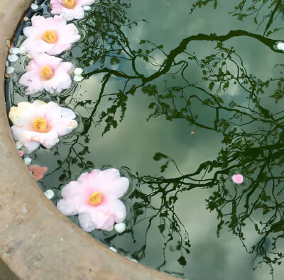 背景