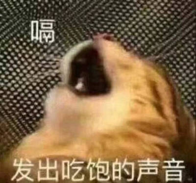 表情包