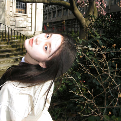 真人女头
©wb-木夕木