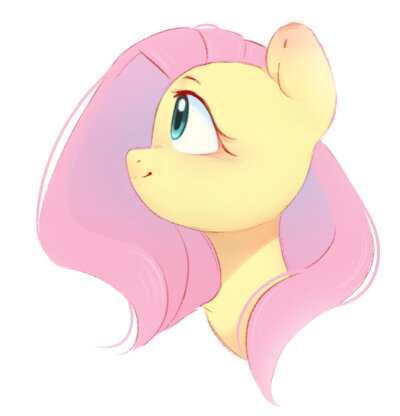 pony