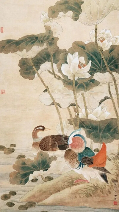 国画大师陈之佛工笔花鸟画