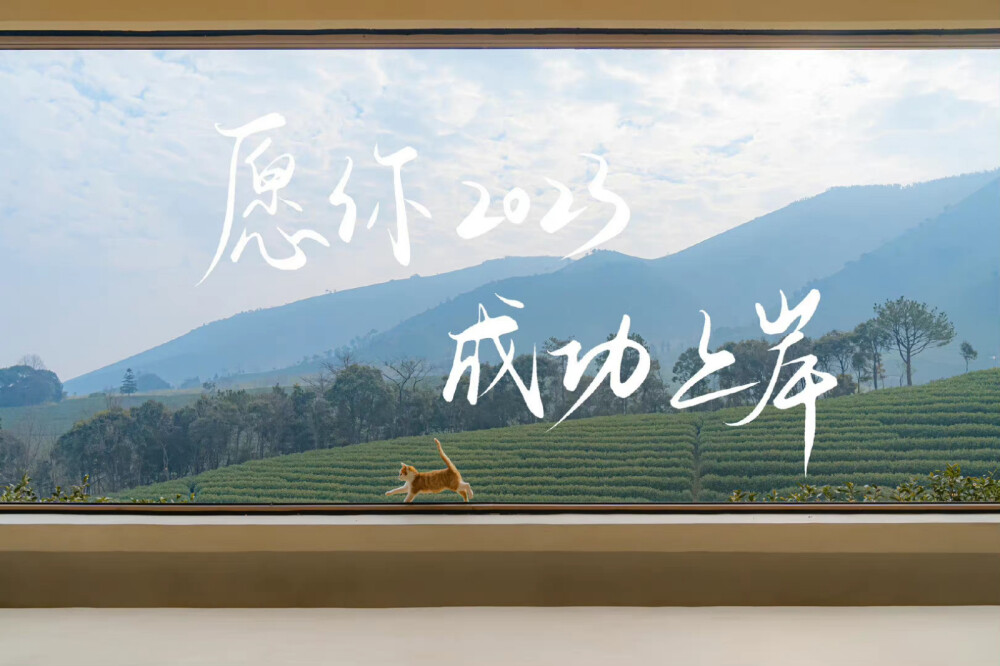 励志上岸