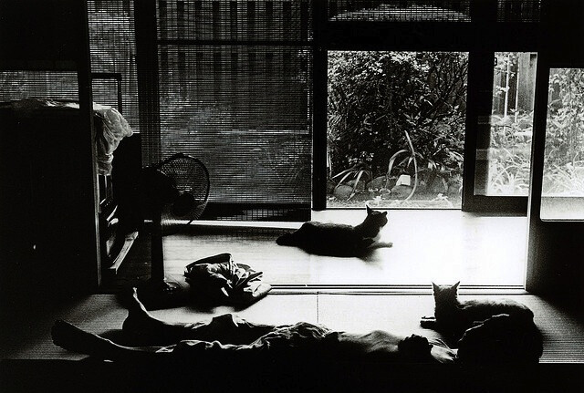 日本摄影师西村君古（Junku Nishimura）称自己是个“半夜端着莱卡M5的酒鬼”，日日游荡在日本的街头。这些照片，犹如老电影的画面，当下生活仿佛被过去的岁月着了色，展映着人们千古不变的美丽与哀愁，以及一些难以言说的东西