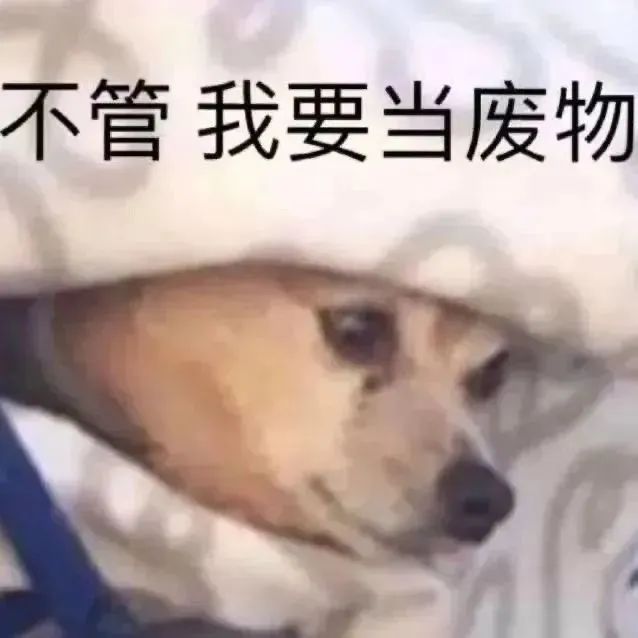 沙雕表情包