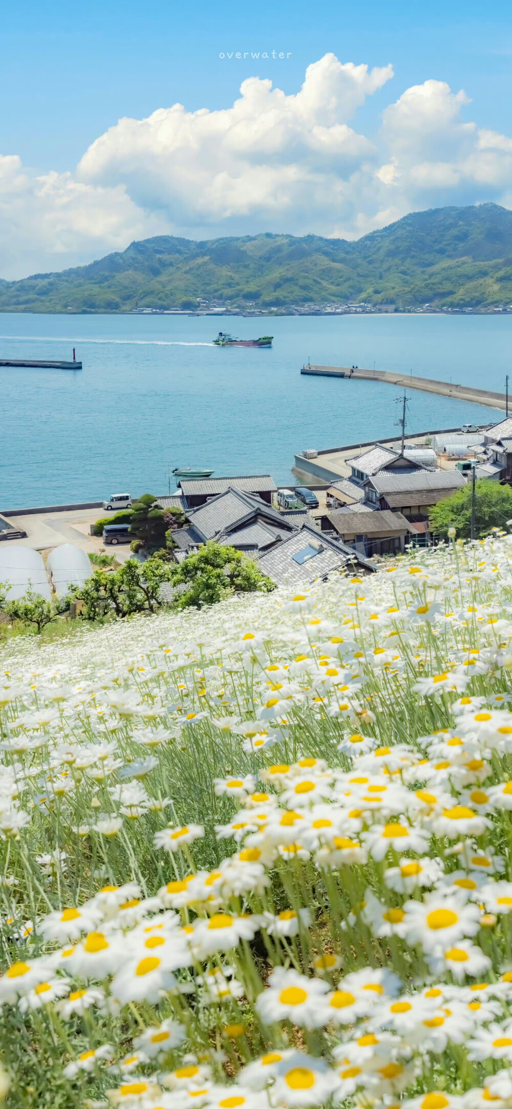 期待夏日
绿色☀️