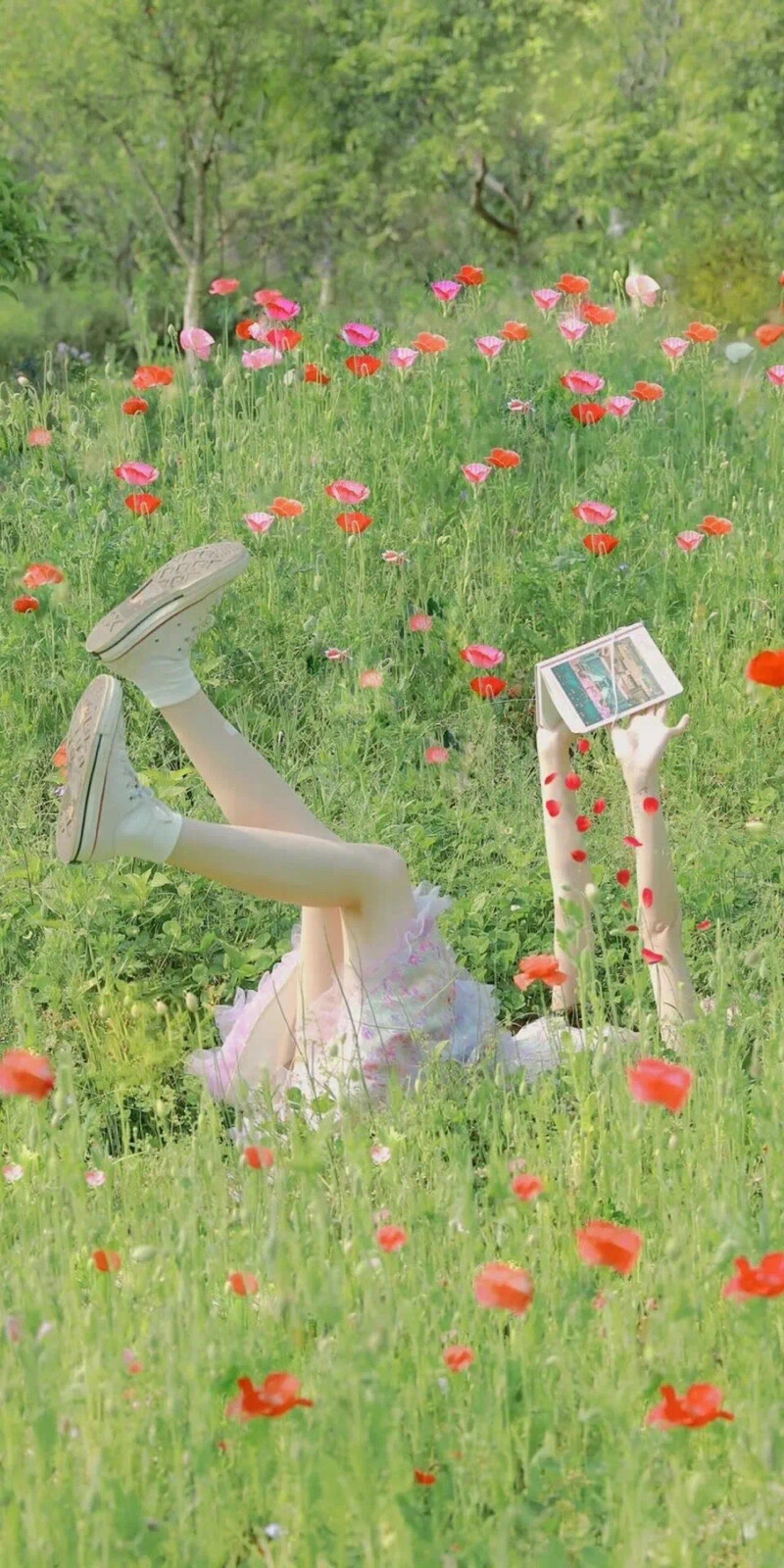 春日少女心壁纸