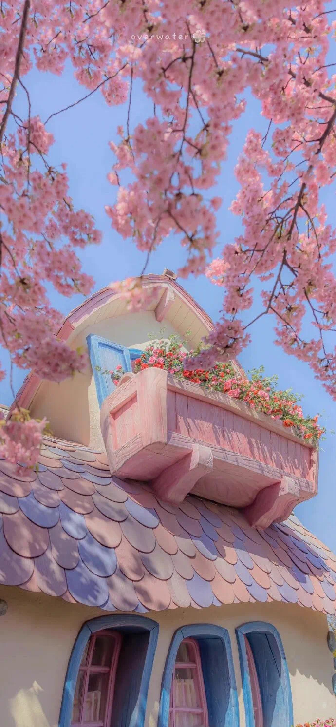 春日少女心壁纸