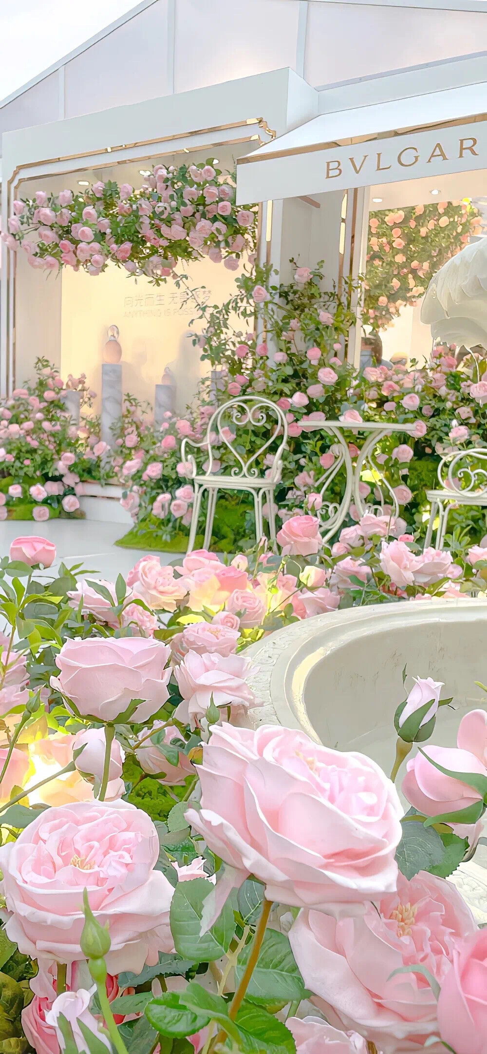 春日少女心壁纸