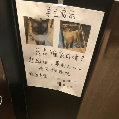 谁带走我