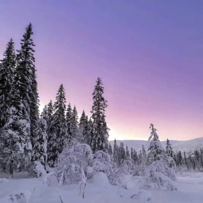 ins 气质｜氛围感头像