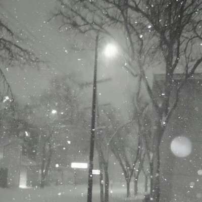 ins 气质｜氛围感头像