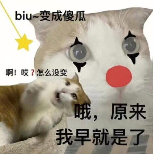 表情