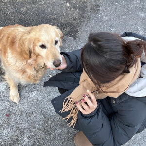 抱宠物头像 - 高清图片,堆糖,美图壁纸兴趣社区