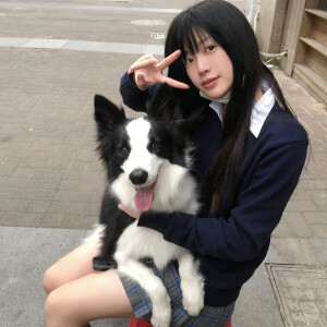 抱宠物头像 - 高清图片,堆糖,美图壁纸兴趣社区