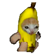 表情包 香蕉猫
