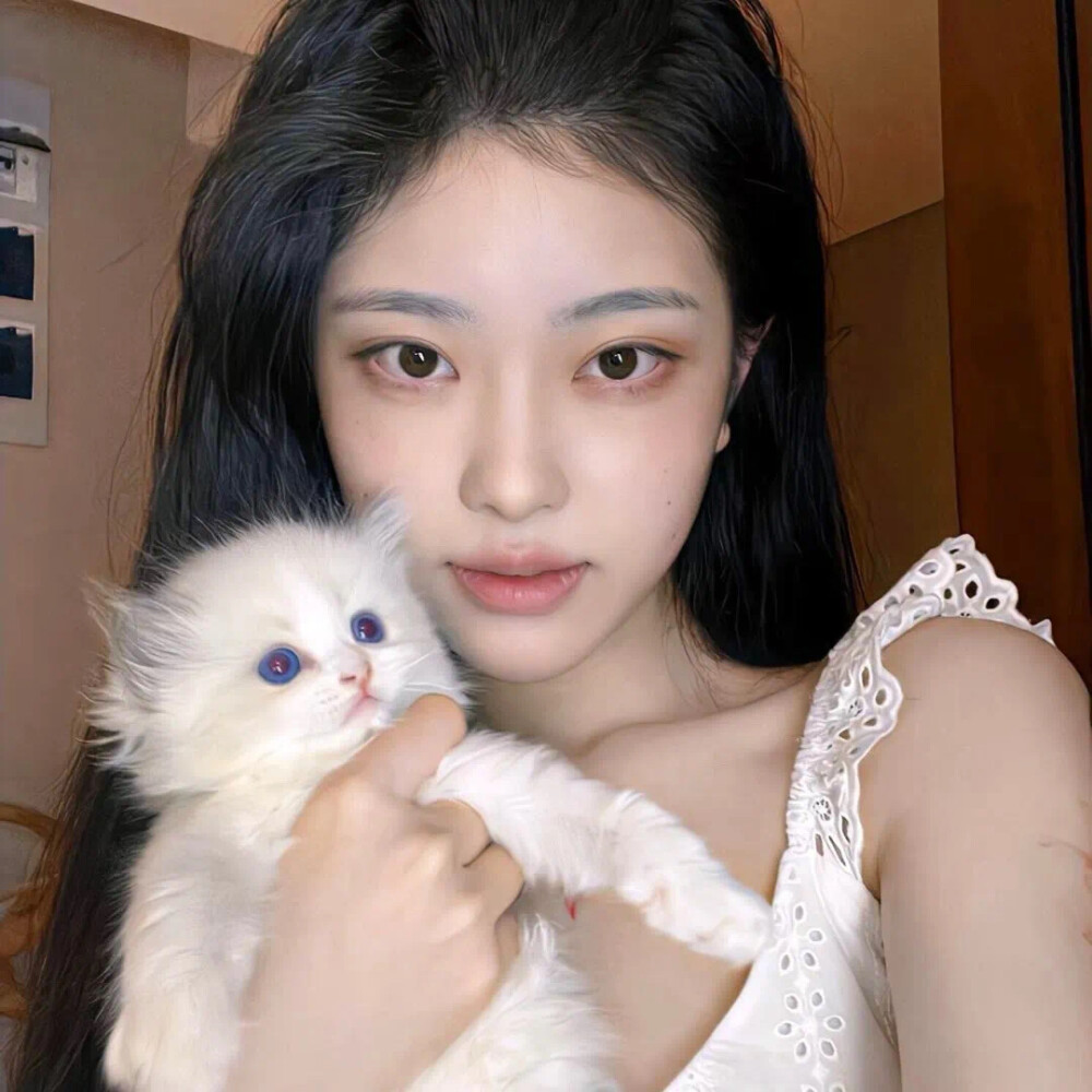 我永远爱你
女头˖⁺.ପଓ˖⁺. 