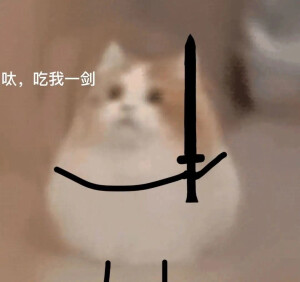 表情包