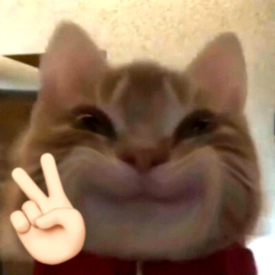 可爱表情包来咯~