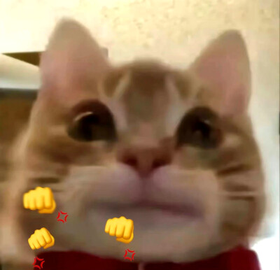 可爱表情包来咯~