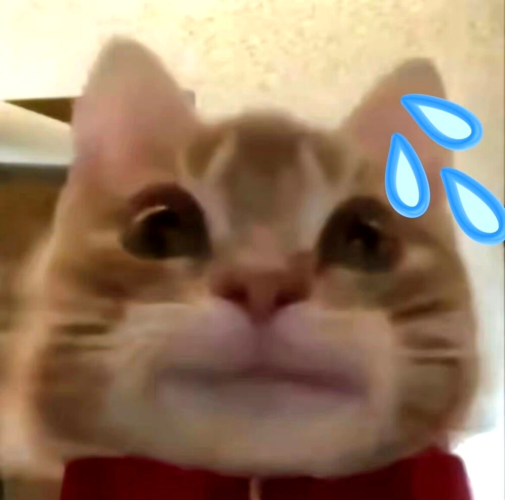 可爱表情包来咯~