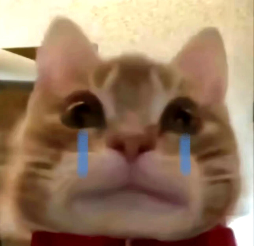 可爱表情包来咯~