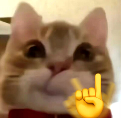 可爱表情包来咯~