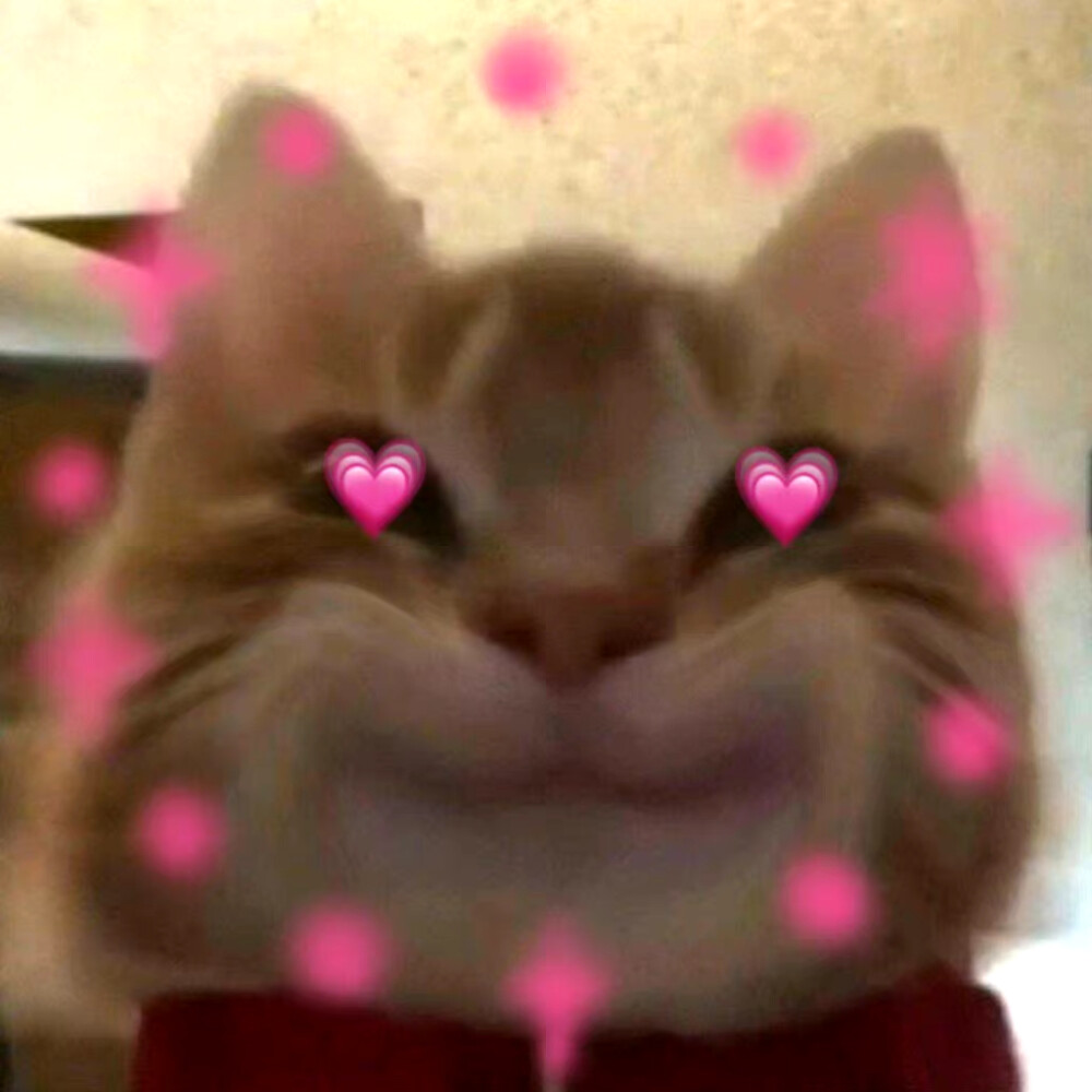 可爱表情包来咯~