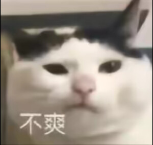 我的精神状态/表情包