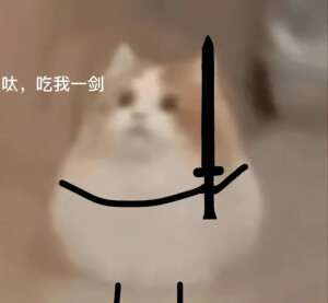 表情包