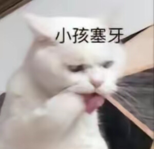 我的精神状态/表情包