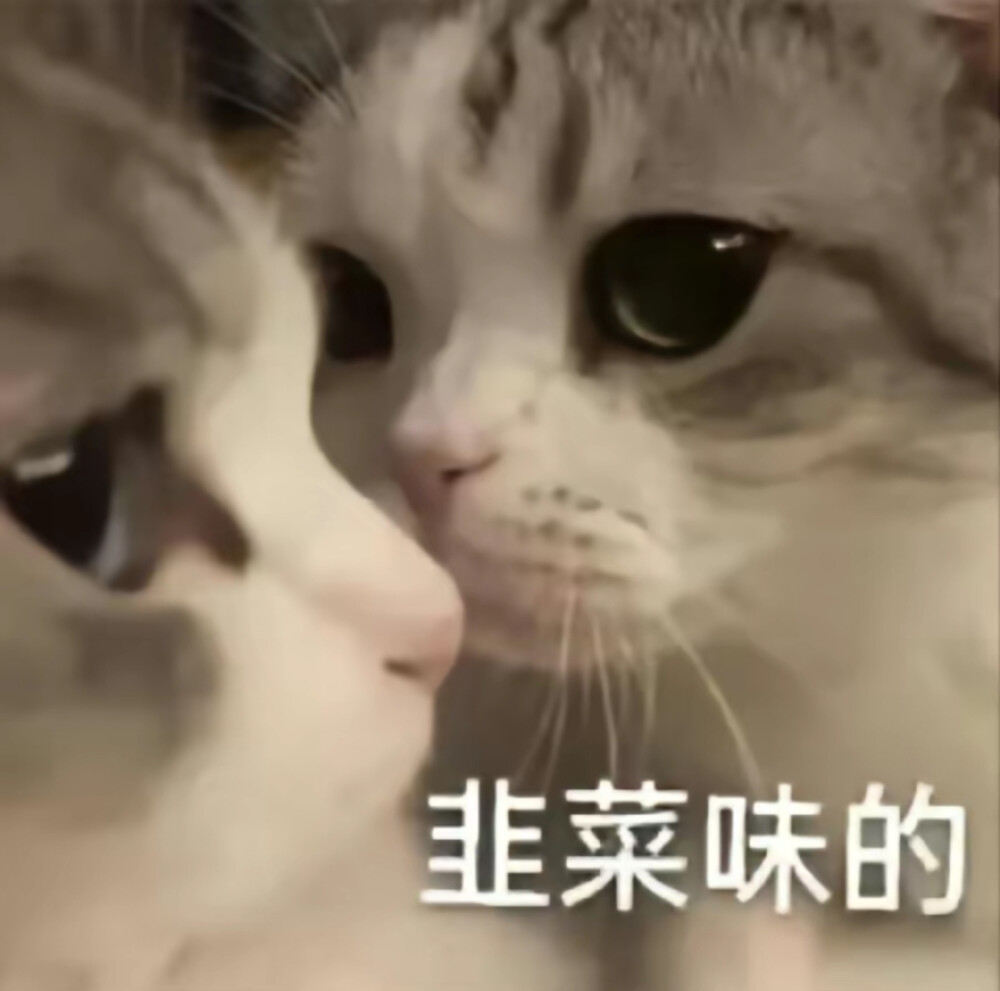我的精神状态/表情包 - 高清图片，堆糖，美图壁纸兴趣社区