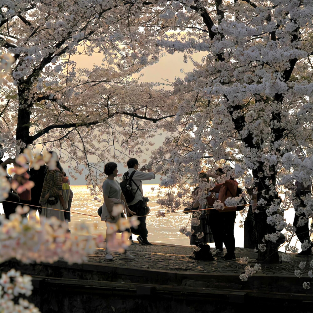 春日背景图