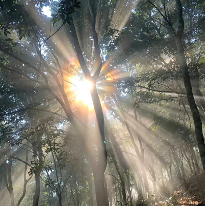 冷淡风 背景图