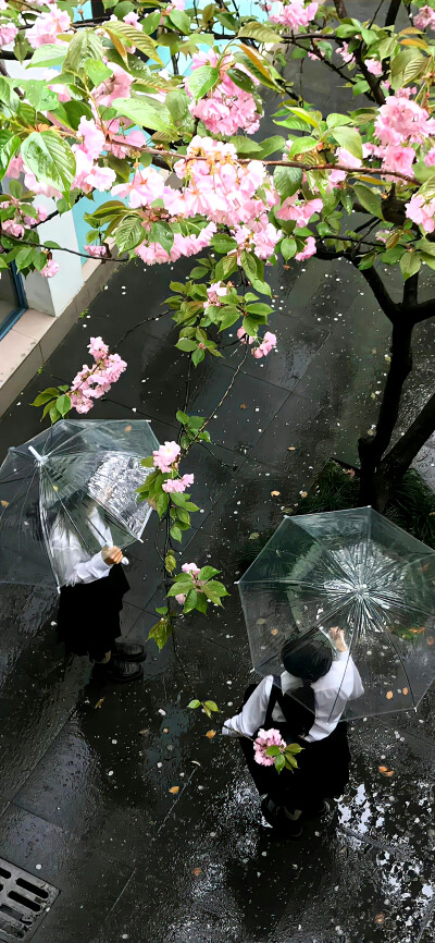 黑白 冷淡风壁纸