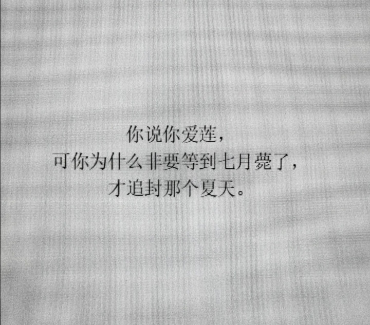 你说你爱莲