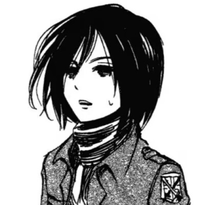 mikasa