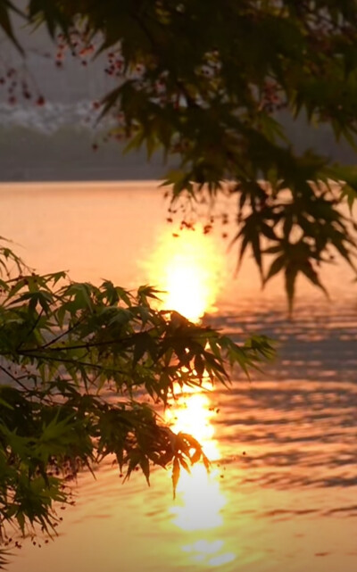 "去见命运里更多不同的风.也期待在未来的日子里.能够被这些涌动的气流.雕刻成不一样的山川与河流"也许有一天风会吹散一切.留下须臾的惆怅和来不及追赶的遗憾.我在某刻忽然感怀.人生恍若大梦.不过是浮光掠影.芸芸众生…