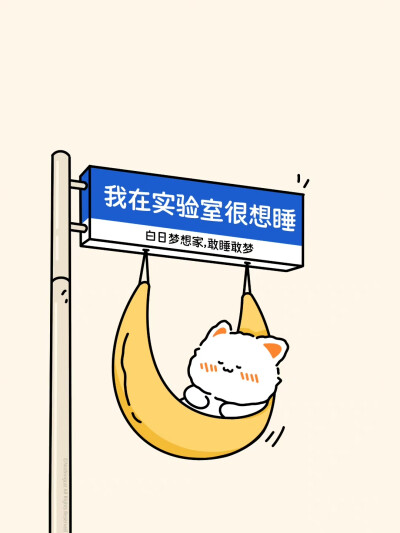 无事小猫