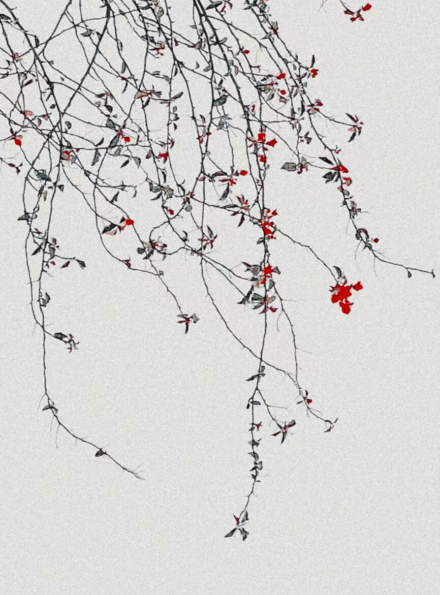 /
曾是你扰我清梦⼀场 曾是你予我半世凄凉