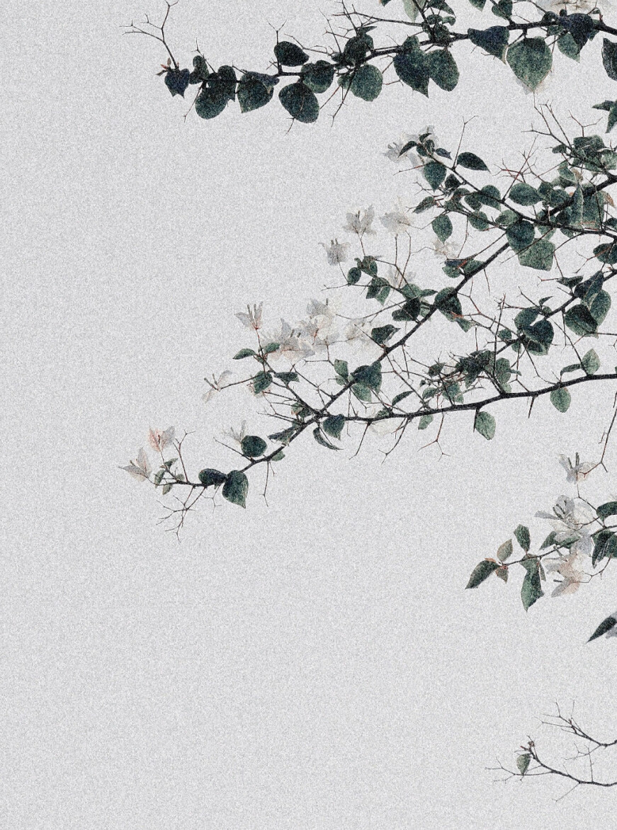 /
曾是你扰我清梦⼀场 曾是你予我半世凄凉