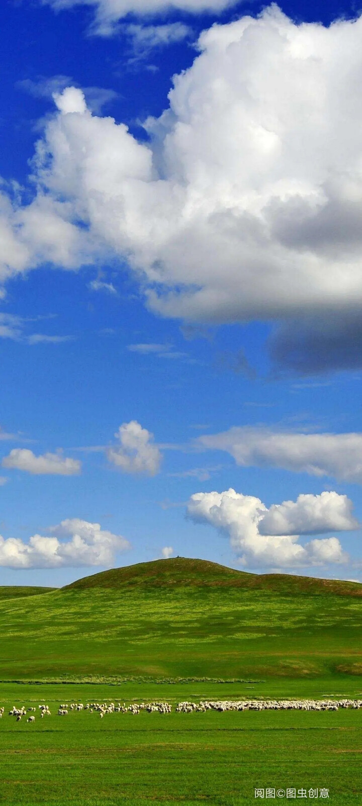 美丽的风景