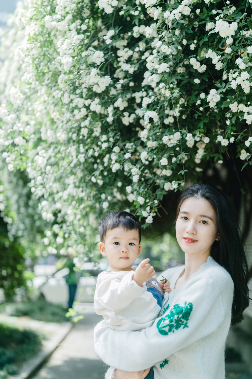 家附近的木香花开了
摄影：洪小漩
出镜：莹莹
十二年前，我骑自行车经过信义坊，就被这株木香花惊艳。
那时候，万万没想到，日后会住在这附近。
大约去年开始，这株木香花在社交平台上火了，来打卡的人络绎不绝。
想记录木香花的美好，是我心心念念的小事，却一直没有想好叫上谁。直到那日和莹莹临时起意，收拾相机带上这条新买的桃红色裙子欣然赴约。
虽然只有半个小时，但是能记录下盛花期，也很开心。
