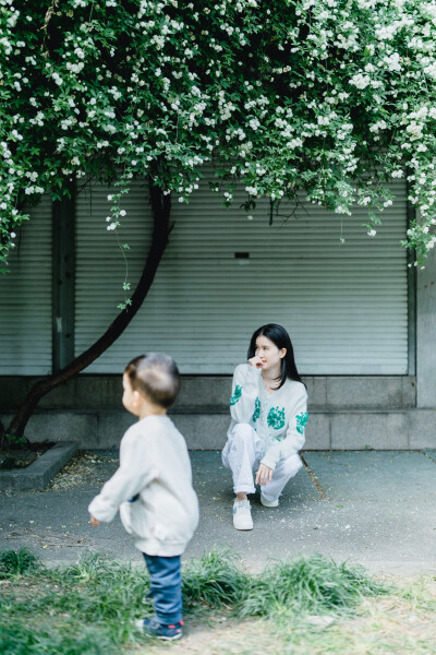 家附近的木香花开了
摄影：洪小漩
出镜：莹莹
十二年前，我骑自行车经过信义坊，就被这株木香花惊艳。
那时候，万万没想到，日后会住在这附近。
大约去年开始，这株木香花在社交平台上火了，来打卡的人络绎不绝…