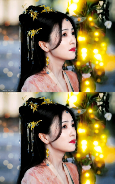 长月烬明｜黎苏苏
cr：棠枝下