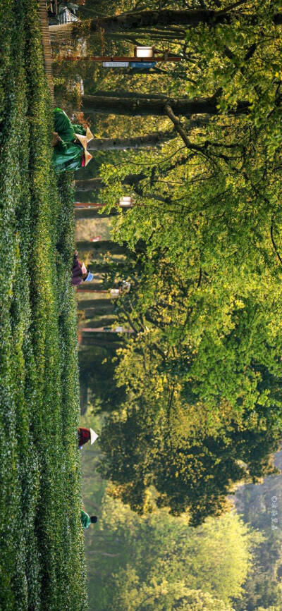 横屏江南烟雨风壁纸
图源网络/侵权删