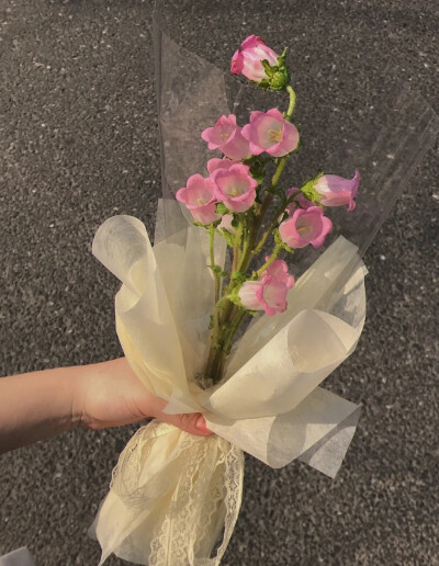 壁纸【鲜花】春天的色彩