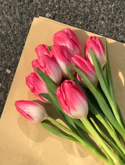 壁纸【鲜花】春天的色彩