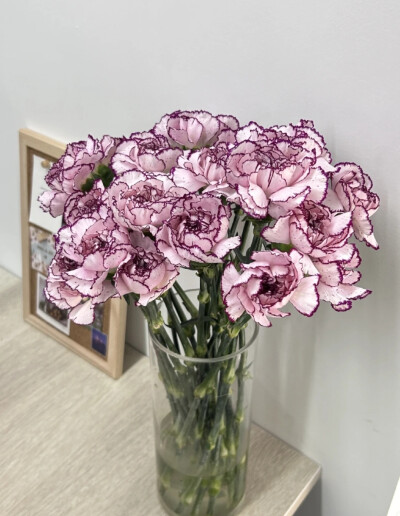壁纸【鲜花】春天的色彩