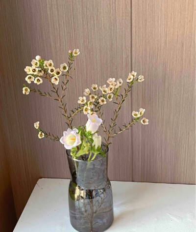 壁纸【鲜花】春天的色彩